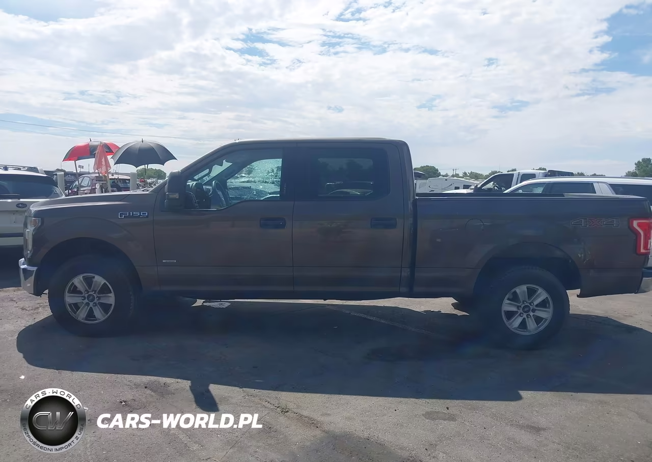 2015 Ford F-150 Xlt VIN:1FTFW1EG4FKD02182 - 14