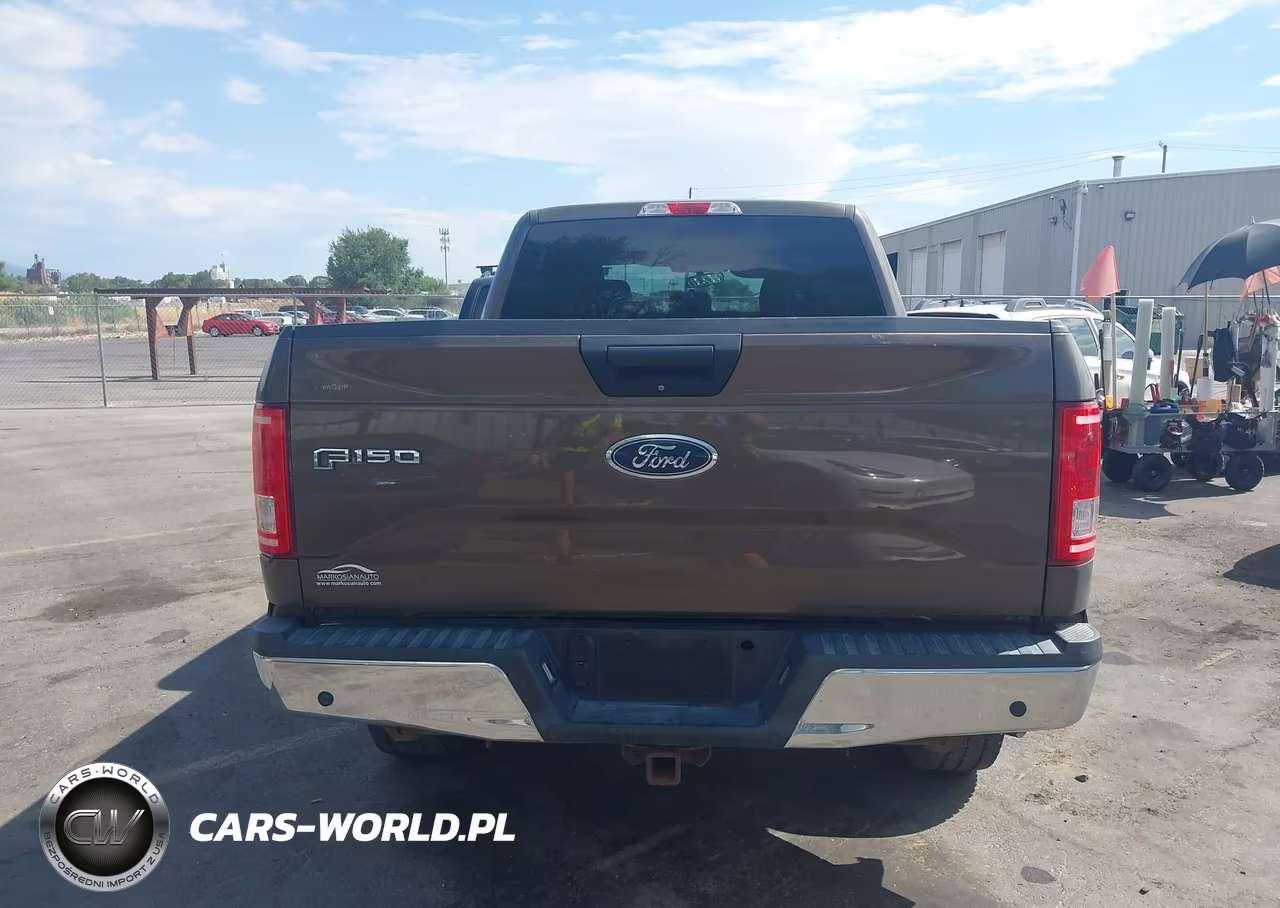 2015 Ford F-150 Xlt VIN:1FTFW1EG4FKD02182 - 16