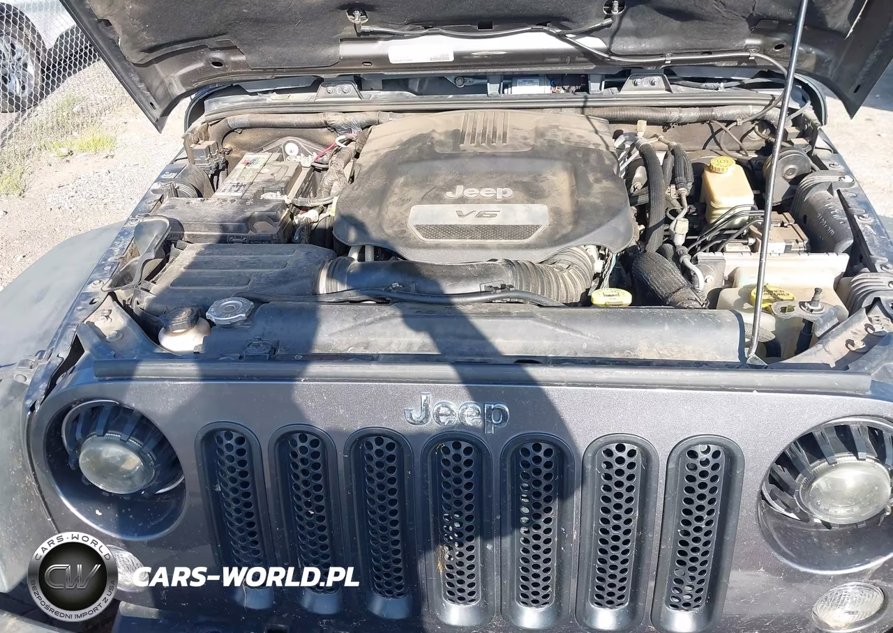 2016 Jeep Wrangler Unlimited Rubicon VIN:1C4BJWFG7GL349565 - 10