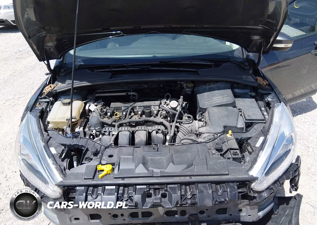 2016 Ford Focus Se VIN:1FADP3F20GL328878 - 10