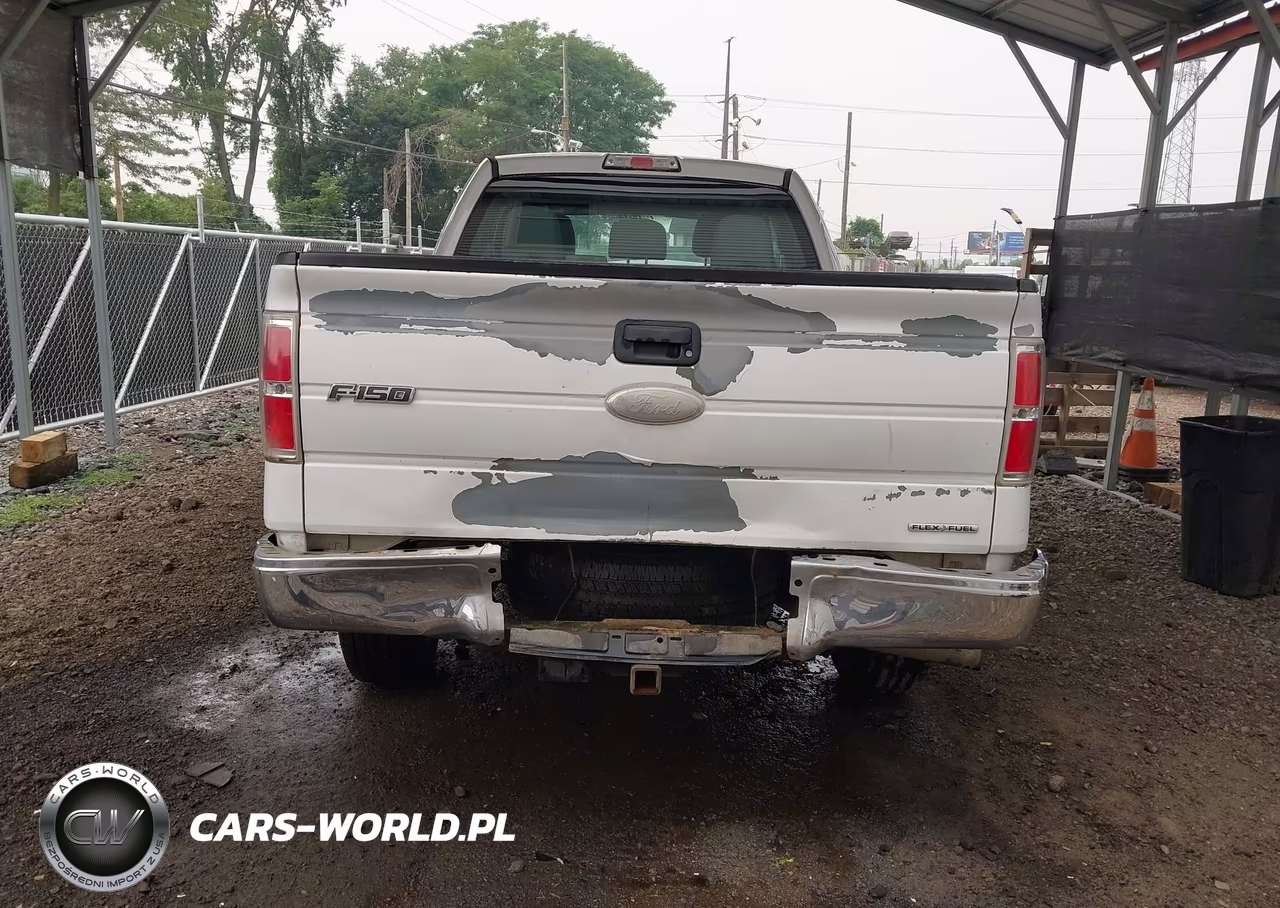 2012 Ford F-150 Xl VIN:1FTFX1EF1CKD50125 - 17
