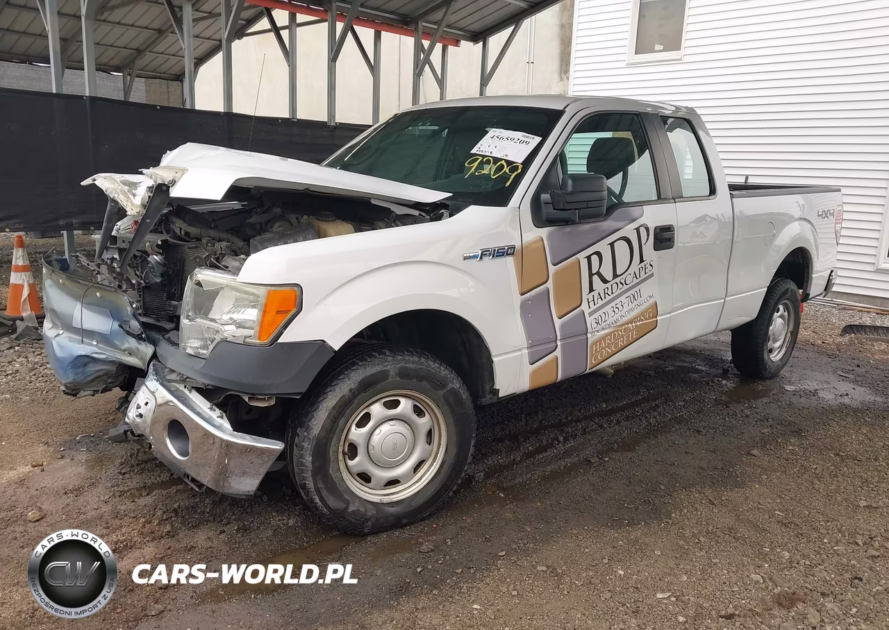 2012 Ford F-150 Xl VIN:1FTFX1EF1CKD50125 - 2