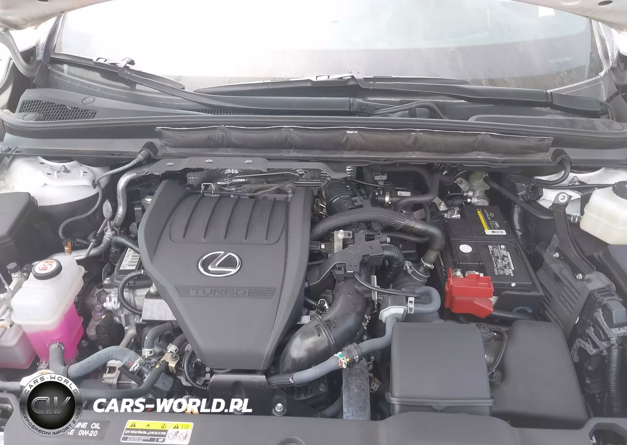2023 Lexus Rx 350 F Sport Handling VIN:2T2BAMCA0PC026658 - 10