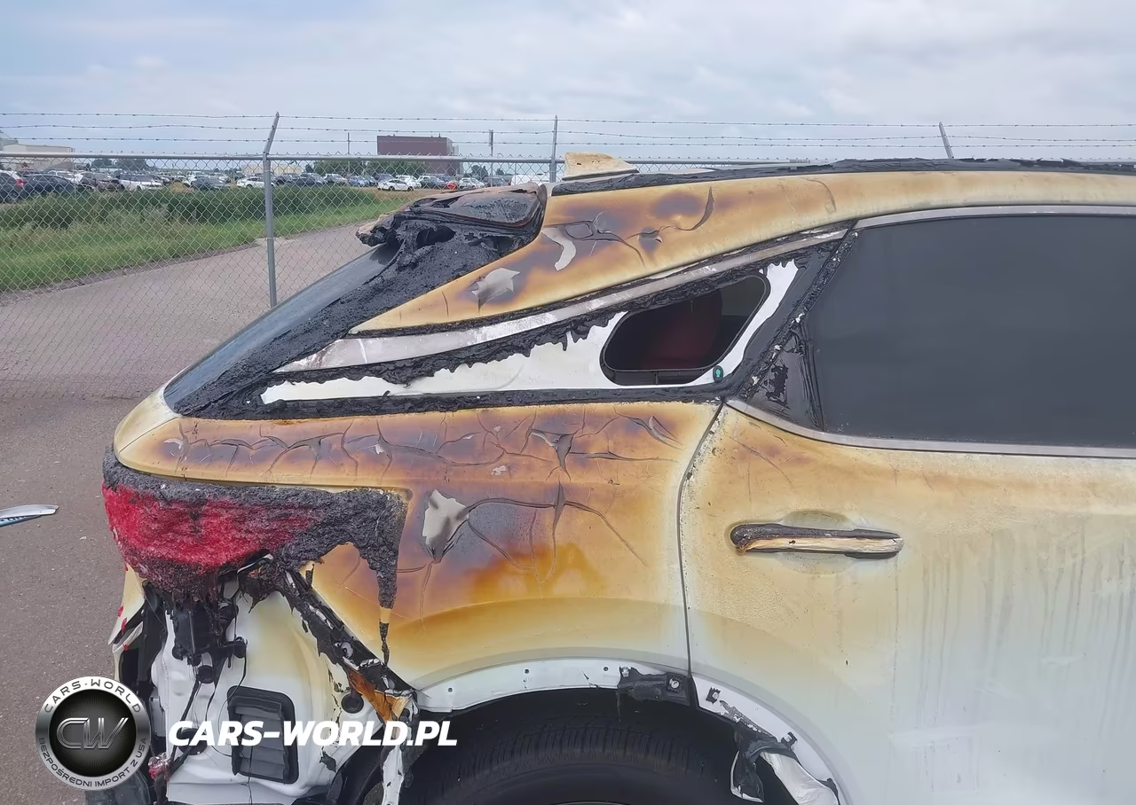 2023 Lexus Rx 350 F Sport Handling VIN:2T2BAMCA0PC026658 - 13