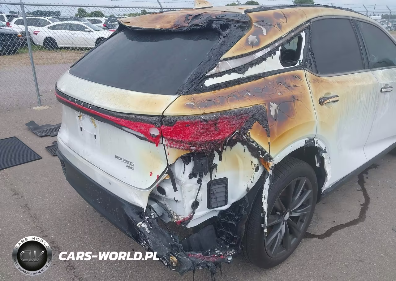 2023 Lexus Rx 350 F Sport Handling VIN:2T2BAMCA0PC026658 - 6