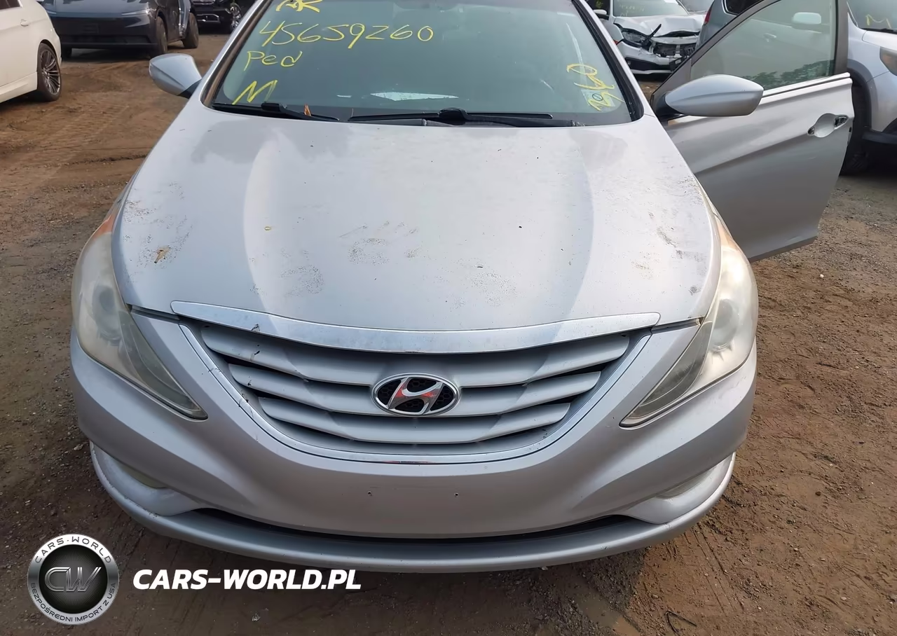 2013 Hyundai Sonata Gls VIN:5NPEB4AC6DH513603 - 6