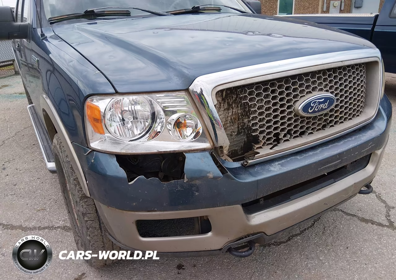 2005 Ford F-150 Fx4-Lariat-Xlt VIN:1FTPW14595KD31664 - 12