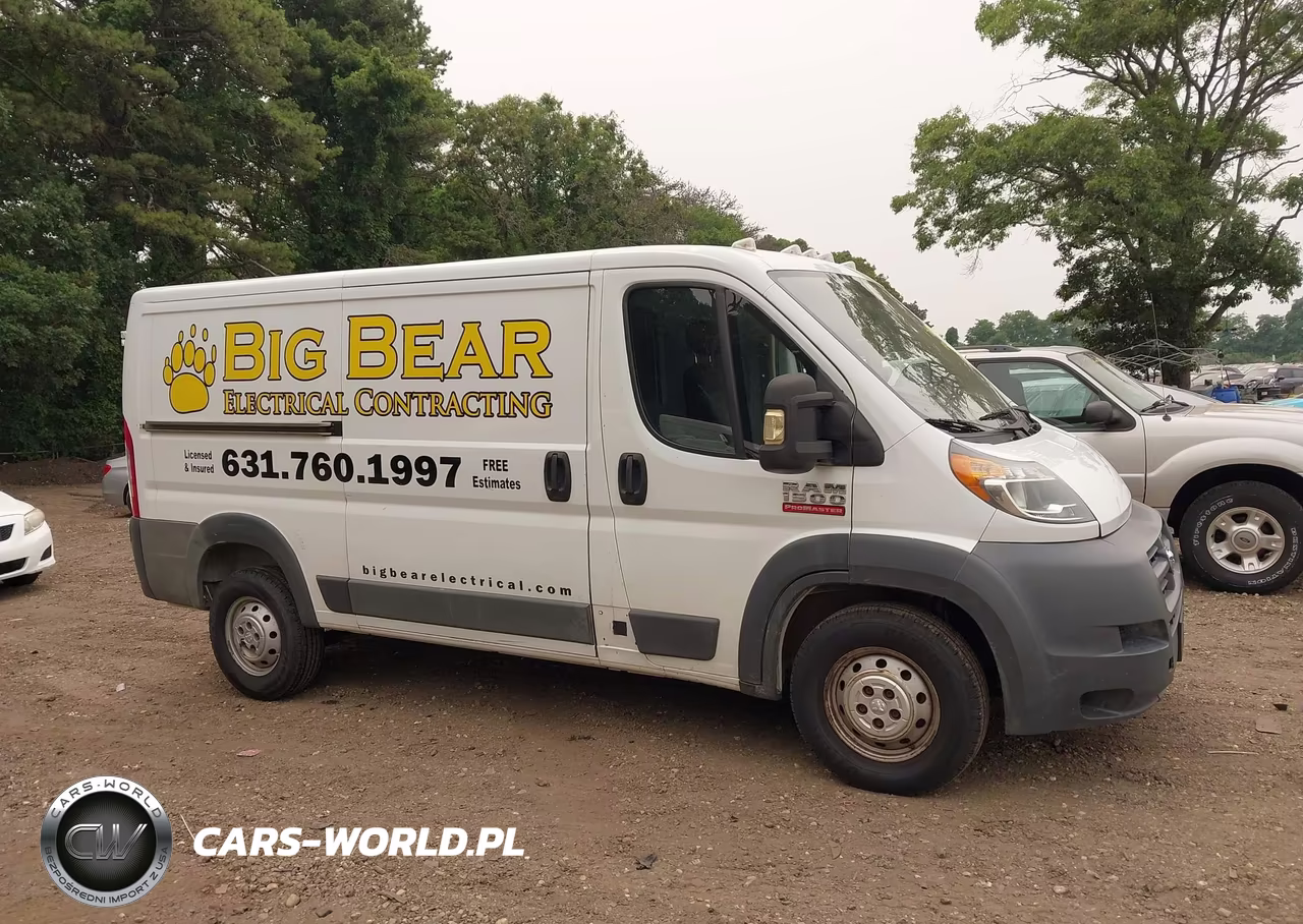 2014 Ram Promaster 1500 Low Roof VIN:3C6TRVAG9EE124463 - 13