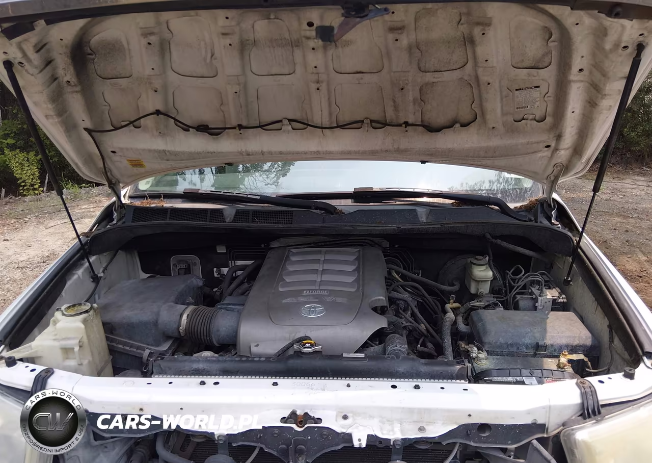 2010 Toyota Tundra Grade 4.6L V8 VIN:5TFRM5F19AX010639 - 10