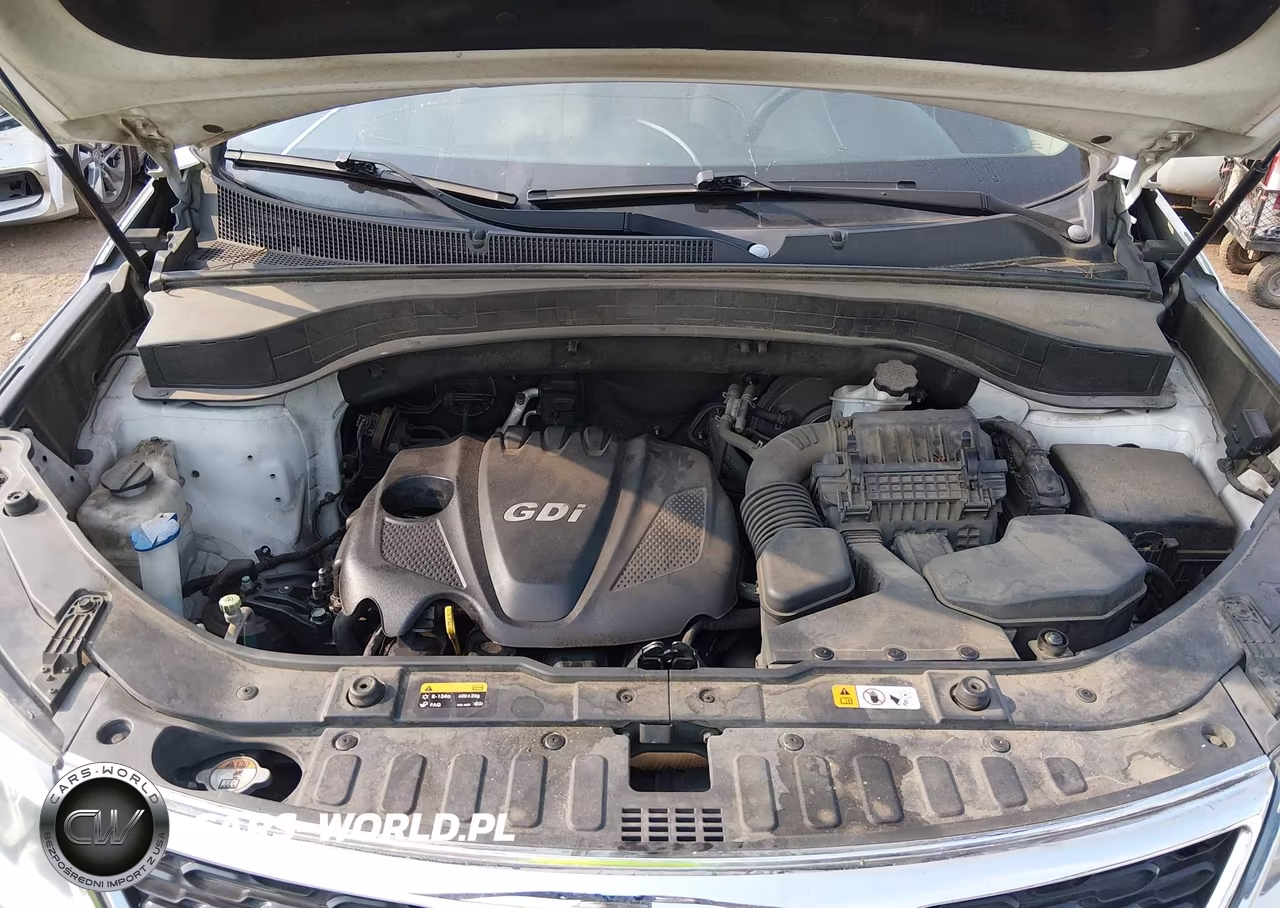 2014 Kia Sorento Lx VIN:5XYKT3A60EG461253 - 10
