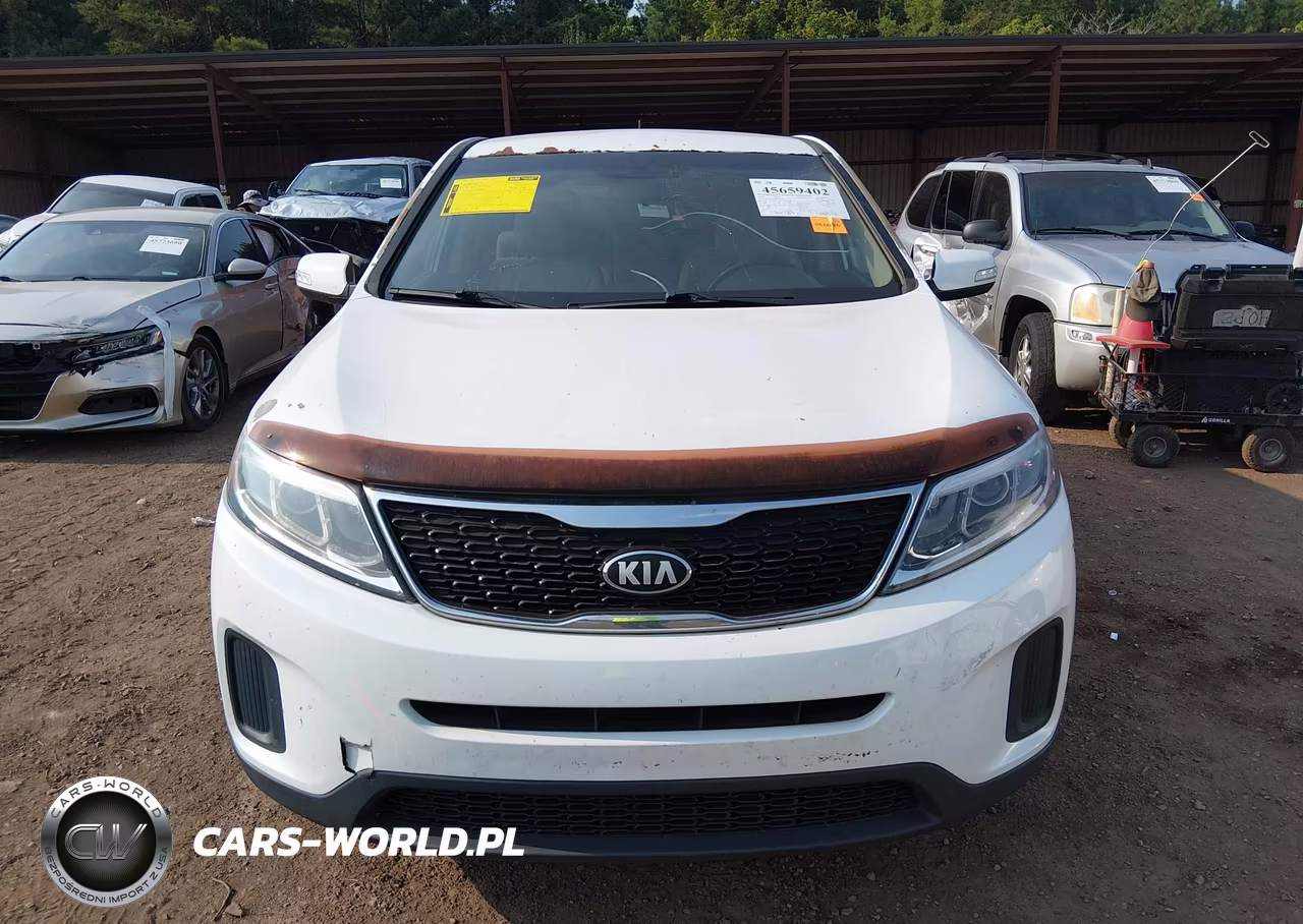2014 Kia Sorento Lx VIN:5XYKT3A60EG461253 - 13