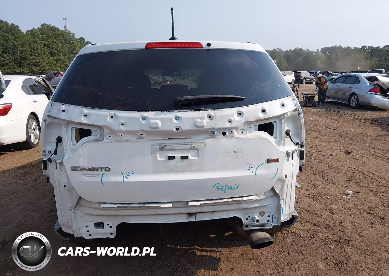 2014 Kia Sorento Lx VIN:5XYKT3A60EG461253 - 17
