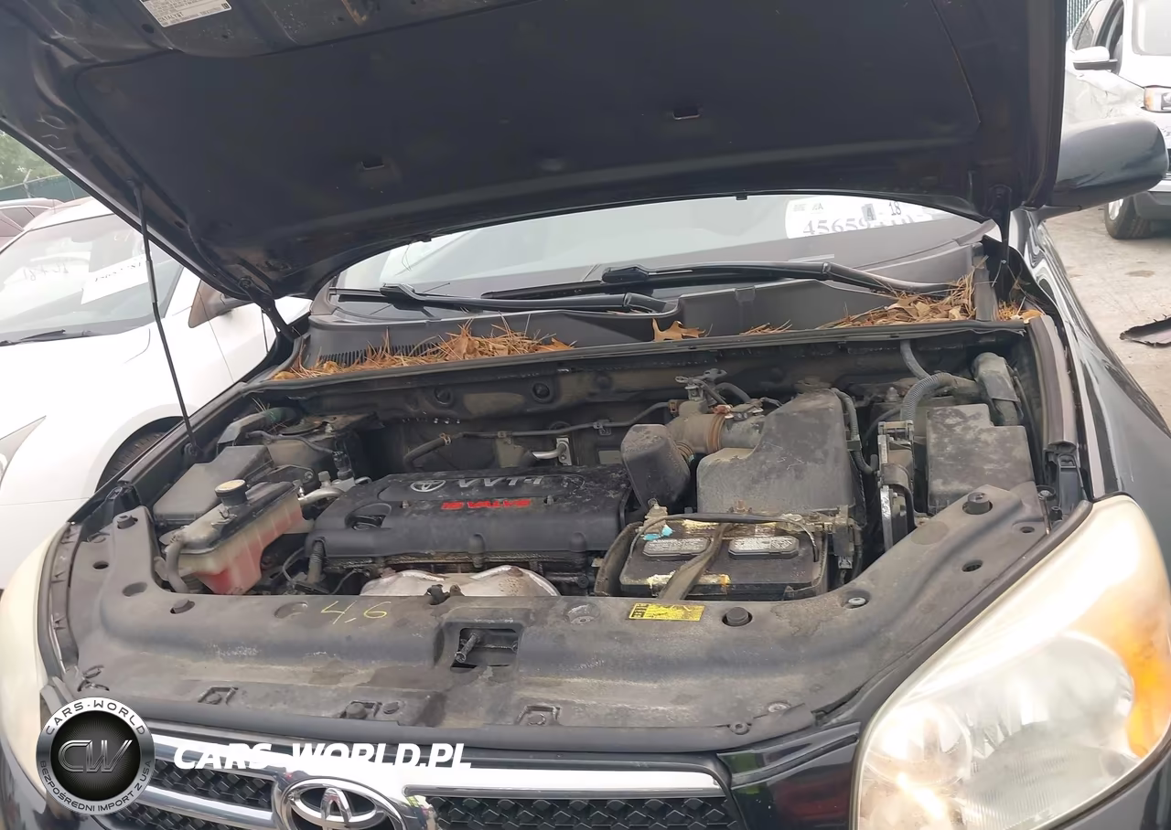 2008 Toyota Rav4 Limited VIN:JTMBD31V585175528 - 10