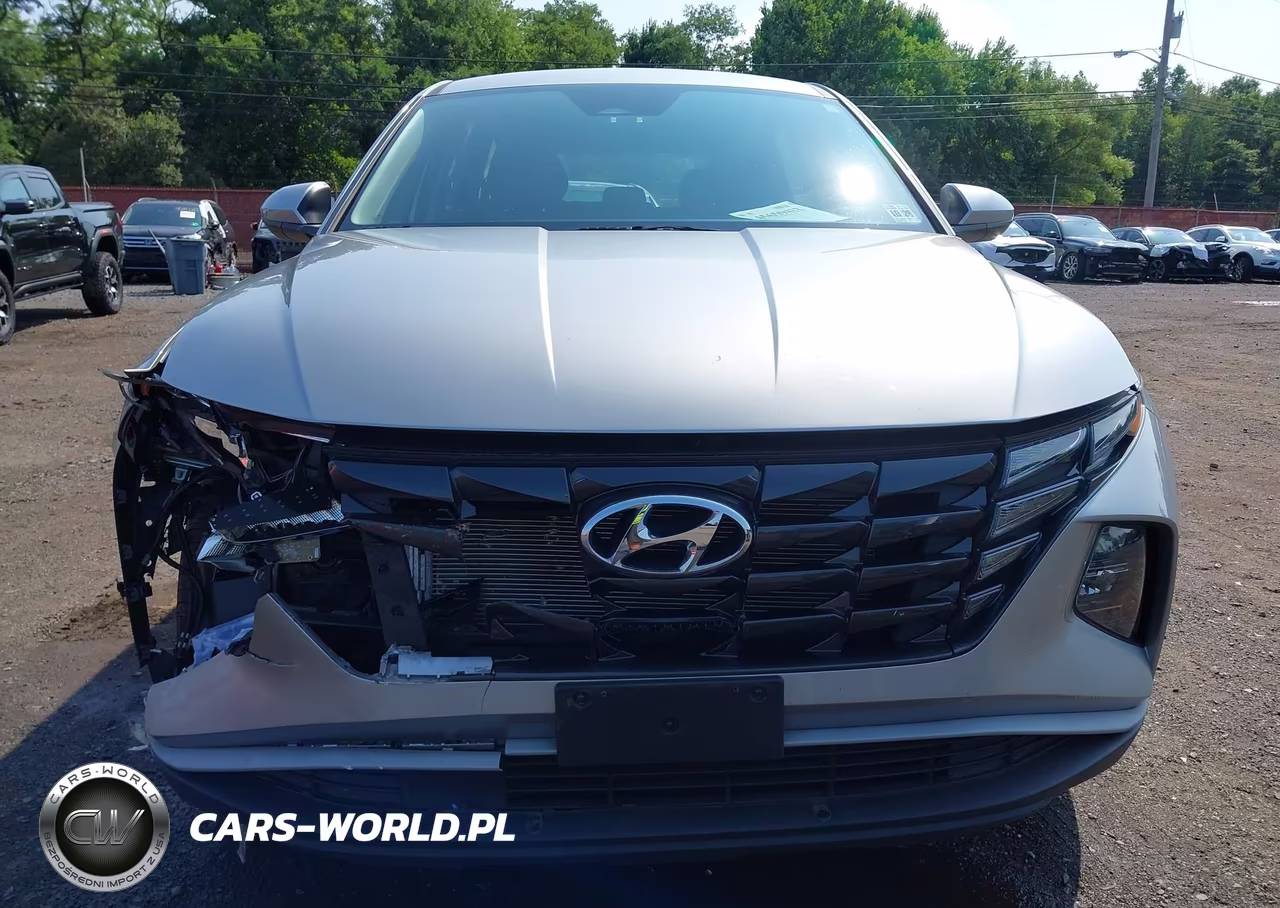 2024 Hyundai Tucson Se VIN:5NMJACDEXRH326569 - 17