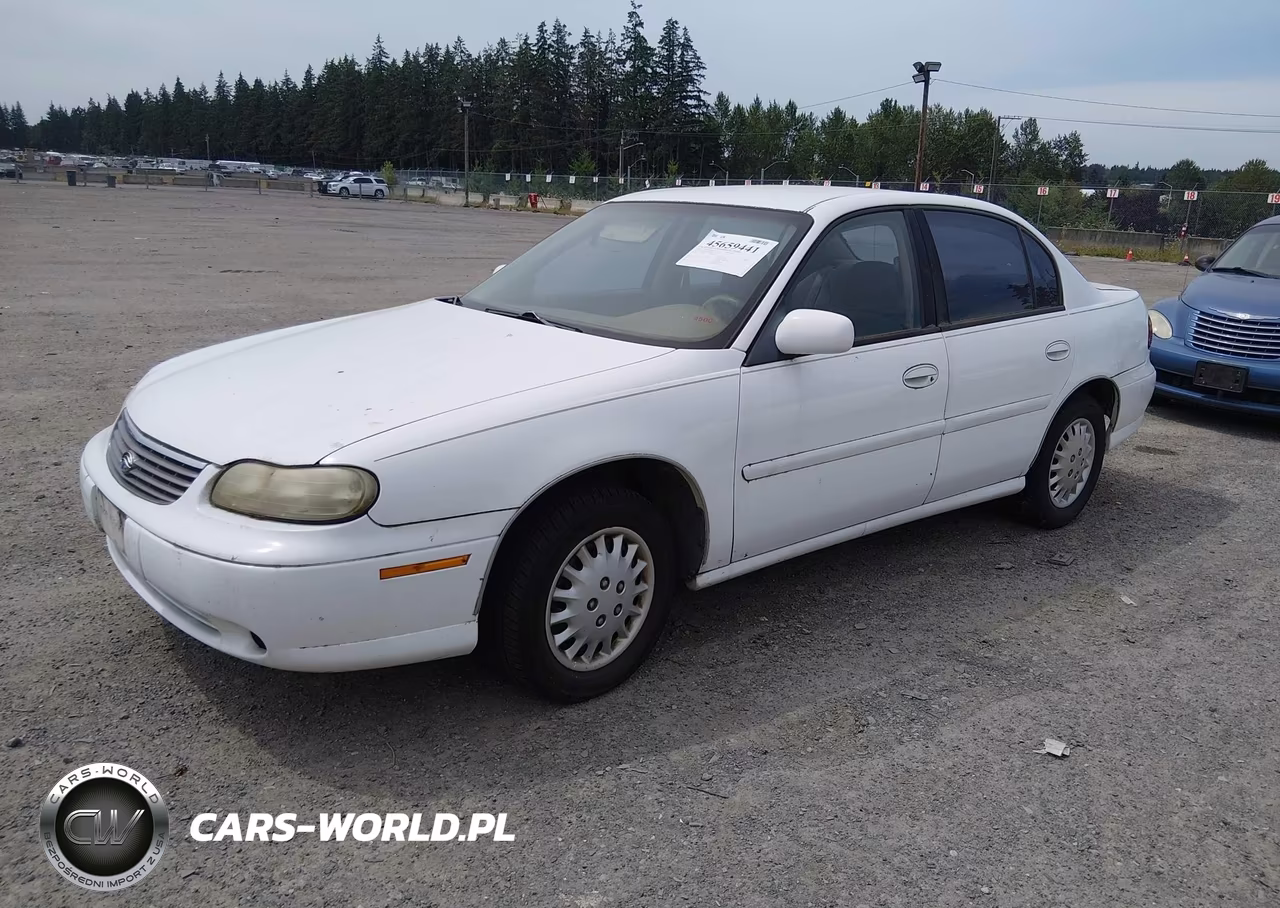1998 Chevrolet Malibu VIN:1G1ND52M1W6161429 - 2