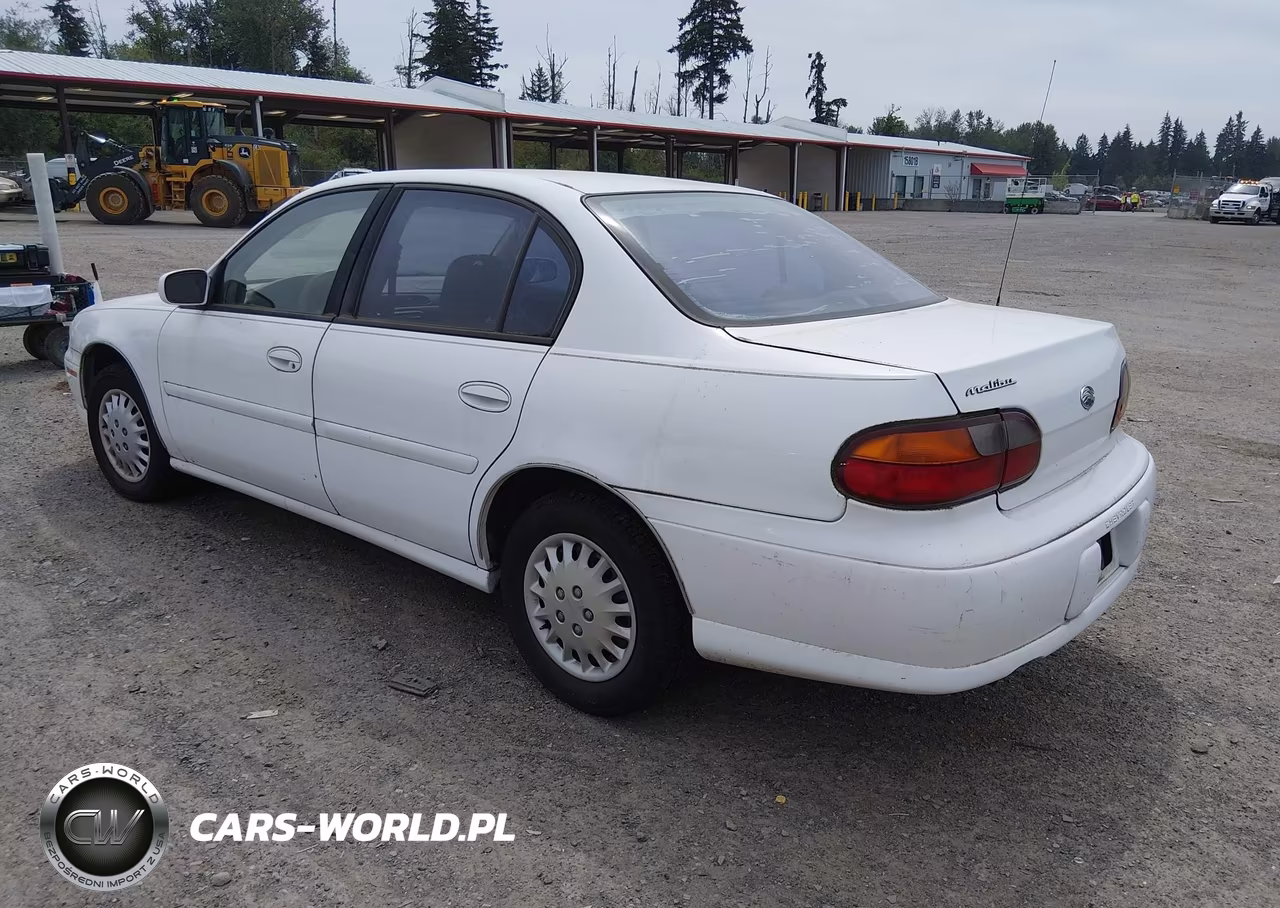 1998 Chevrolet Malibu VIN:1G1ND52M1W6161429 - 3