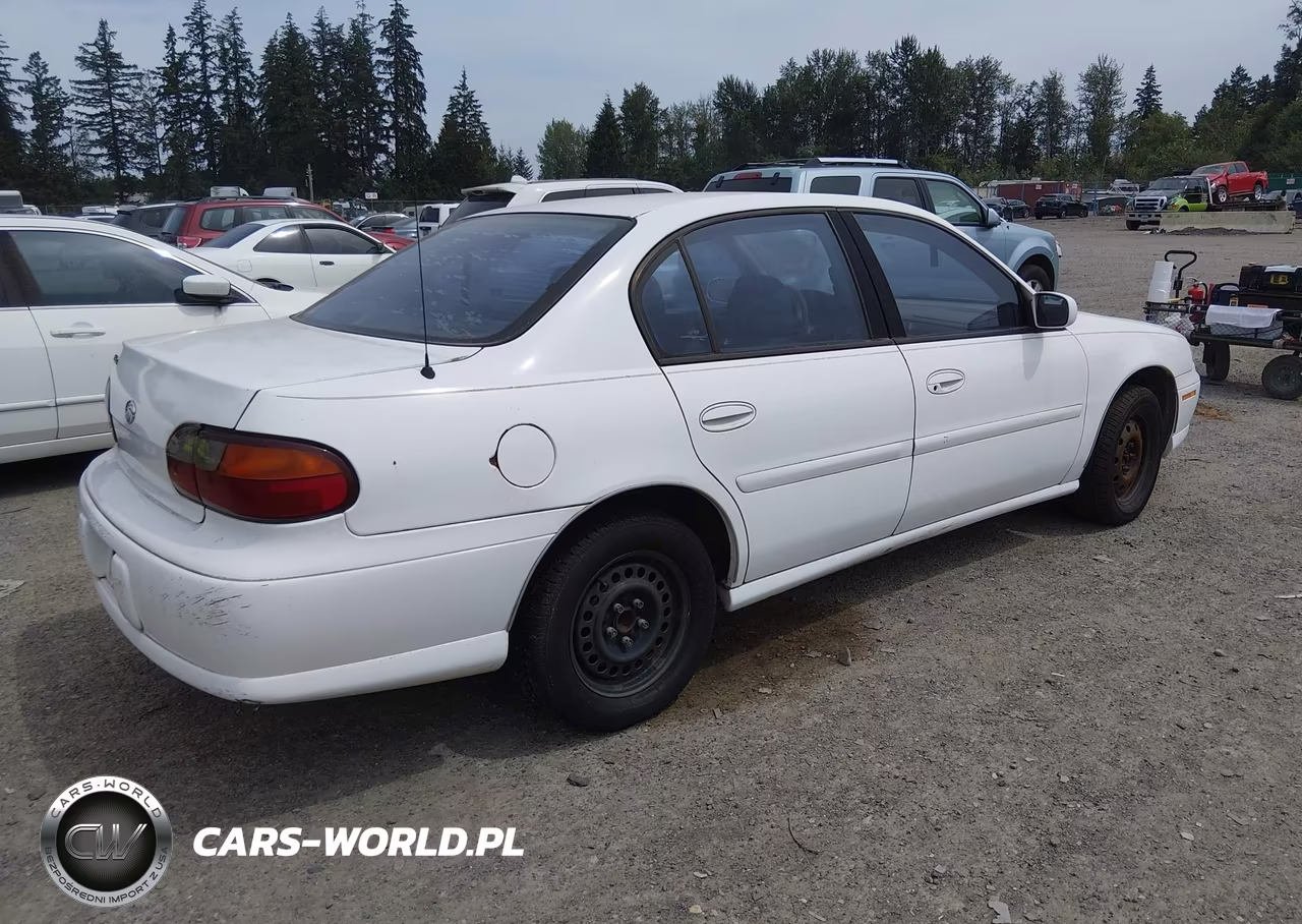 1998 Chevrolet Malibu VIN:1G1ND52M1W6161429 - 4