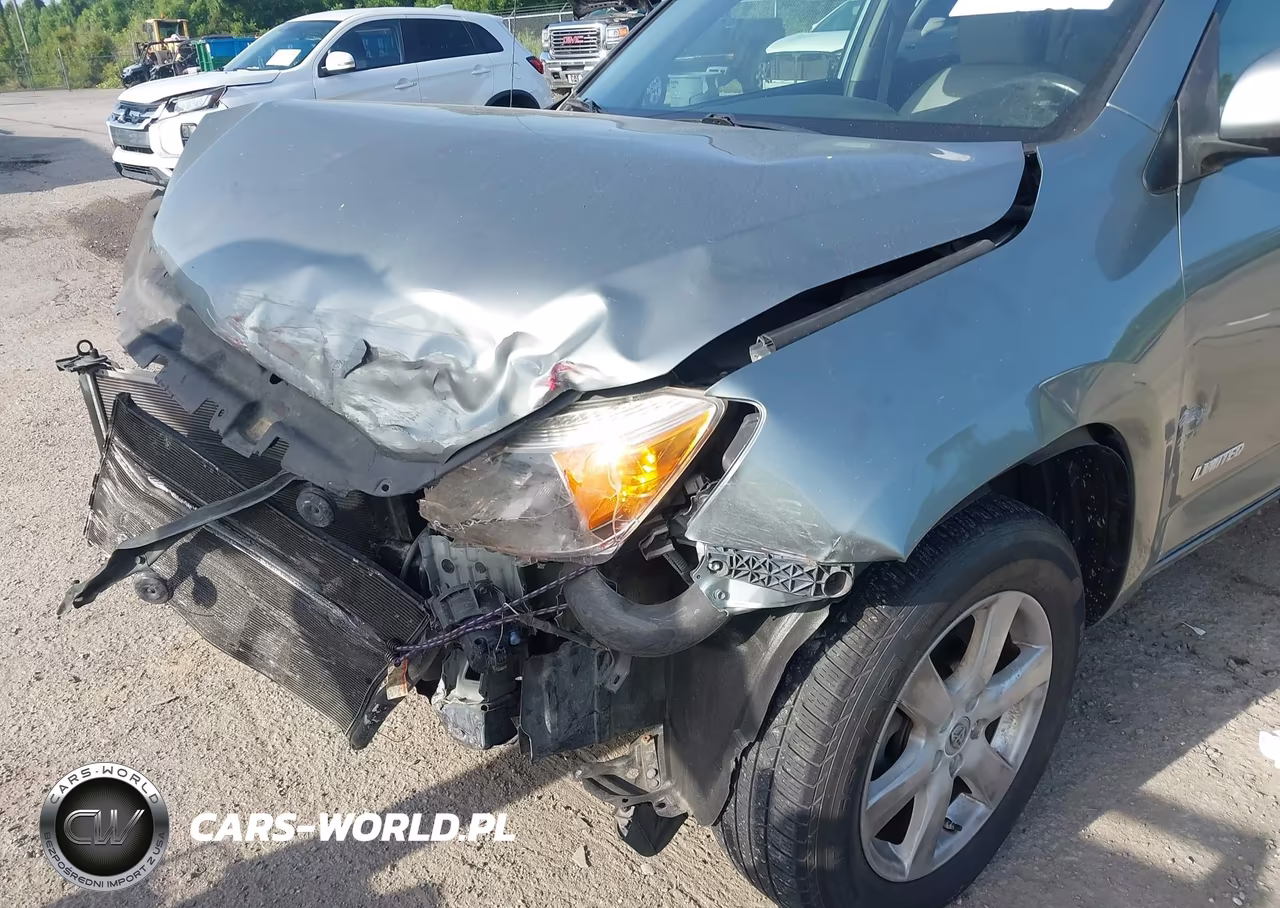 2008 Toyota Rav4 Limited VIN:JTMZD31V786067677 - 6