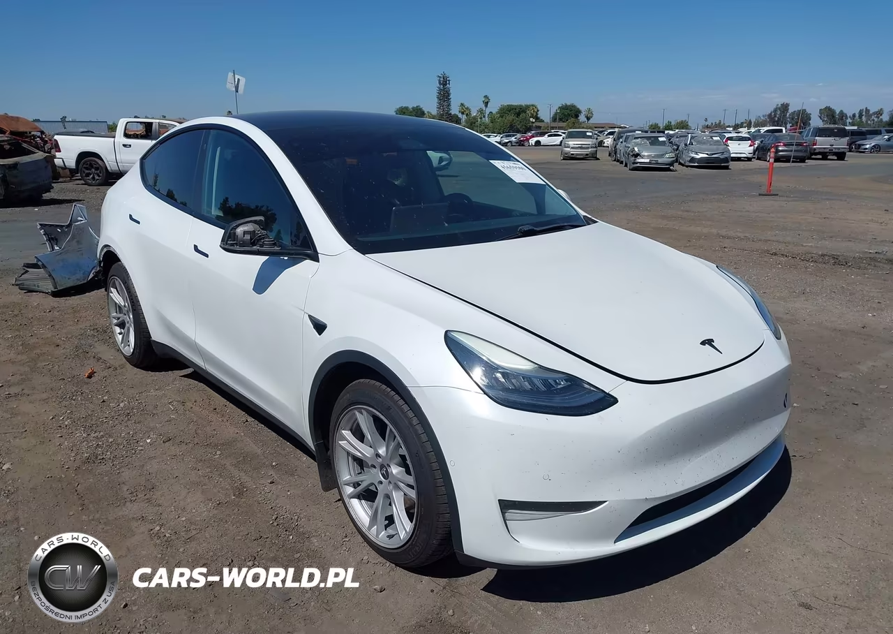 2020 Tesla Model Y Long Range Dual Motor All-Wheel Drive