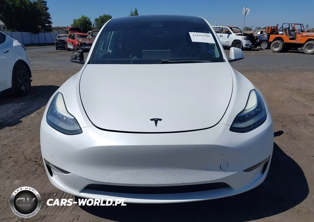 2020 Tesla Model Y Long Range Dual Motor All-Wheel Drive VIN:5YJYGDEE7LF010752 - 13