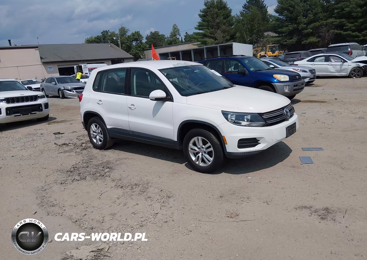 2013 Volkswagen Tiguan S