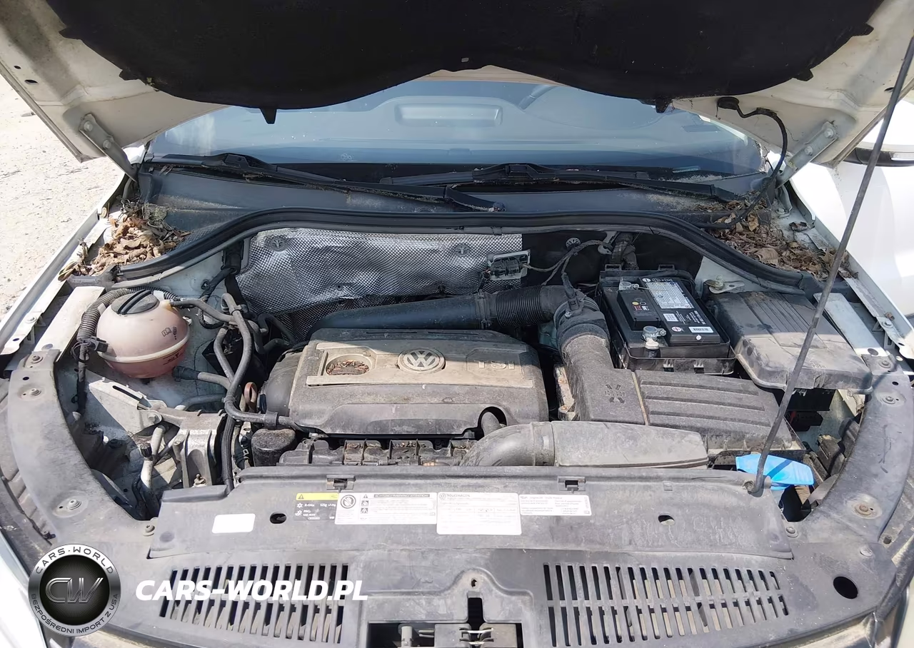2013 Volkswagen Tiguan S VIN:WVGAV3AX4DW592729 - 10