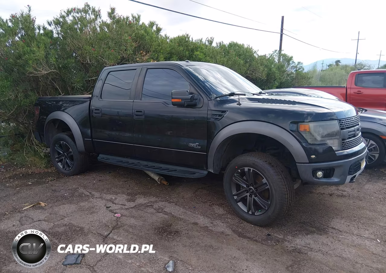 2013 Ford F-150 Svt Raptor