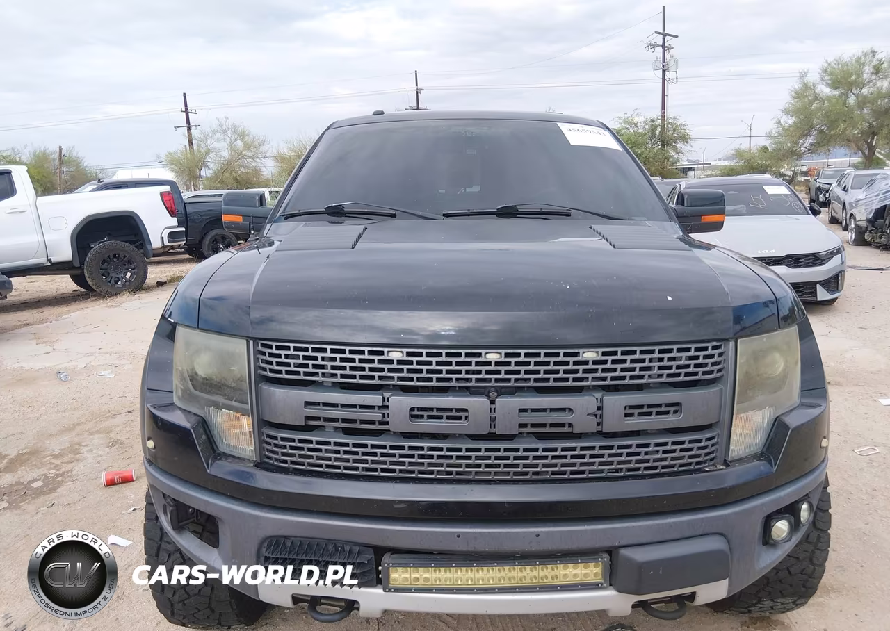 2013 Ford F-150 Svt Raptor VIN:1FTFW1R64DFA31342 - 11