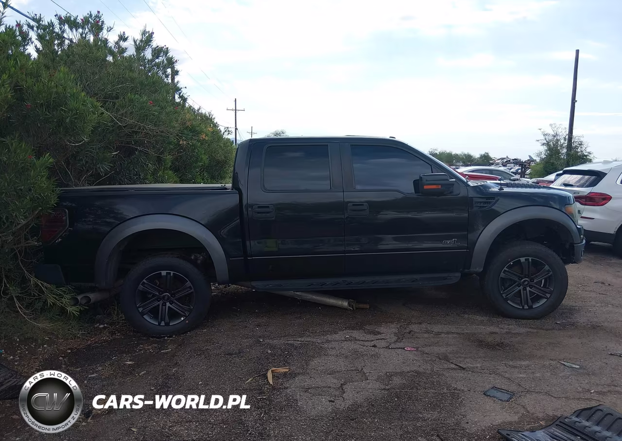 2013 Ford F-150 Svt Raptor VIN:1FTFW1R64DFA31342 - 12