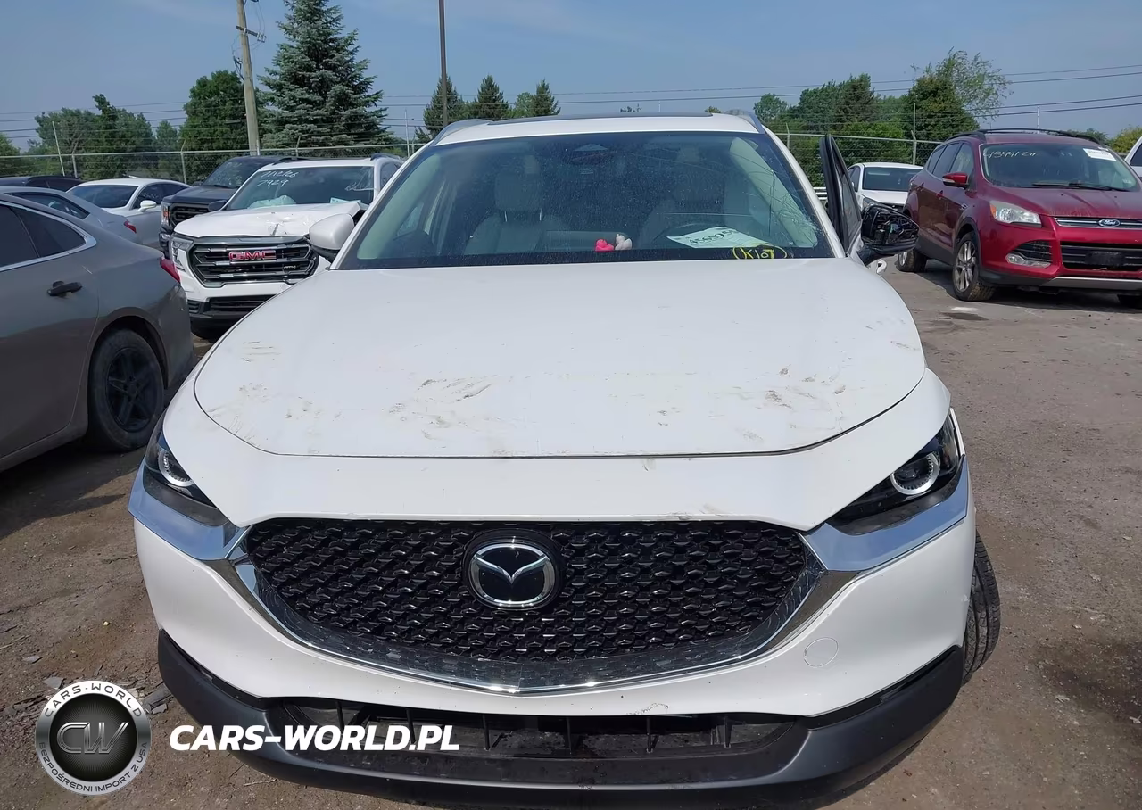 2025 Mazda Cx-30 2.5 S Preferred Package VIN:3MVDMBCM6SM827712 - 12