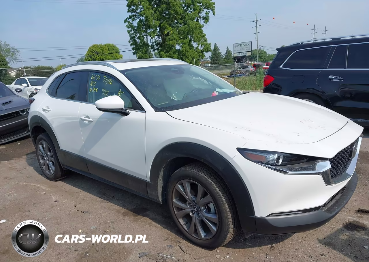 2025 Mazda Cx-30 2.5 S Preferred Package VIN:3MVDMBCM6SM827712 - 13