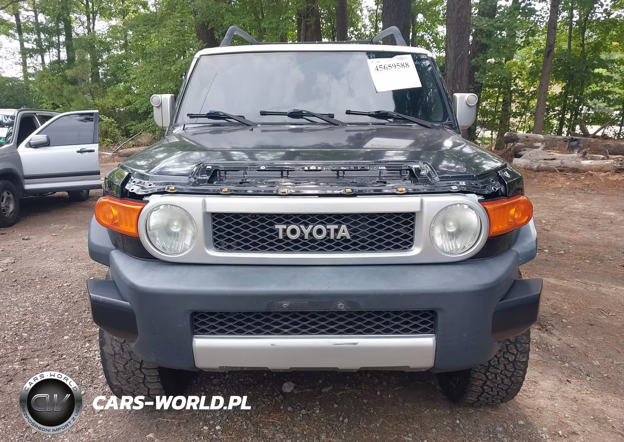 2007 Toyota Fj Cruiser VIN:JTEBU11F870043786 - 12