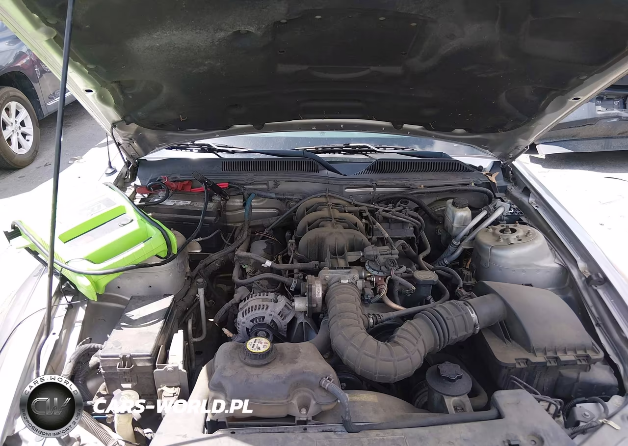 2009 Ford Mustang V6 Premium VIN:1ZVHT80N095104764 - 10