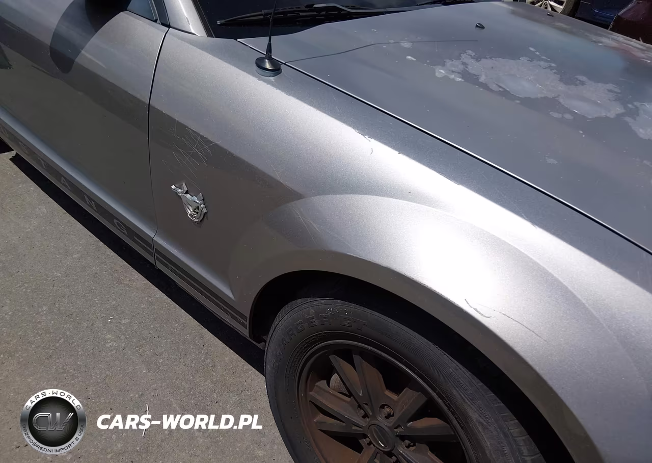 2009 Ford Mustang V6 Premium VIN:1ZVHT80N095104764 - 13