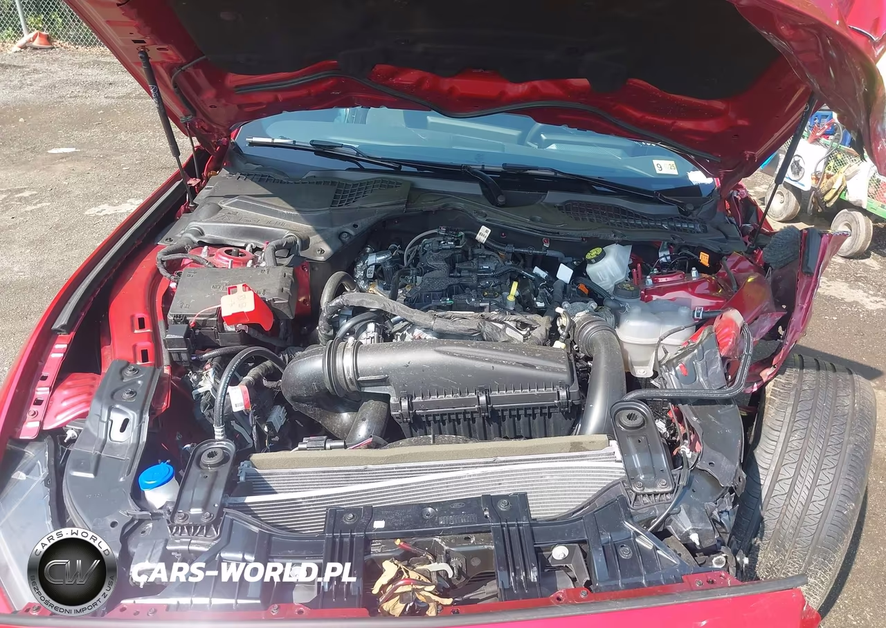 2024 Ford Mustang Ecoboost Fastback VIN:1FA6P8TH6R5141618 - 10