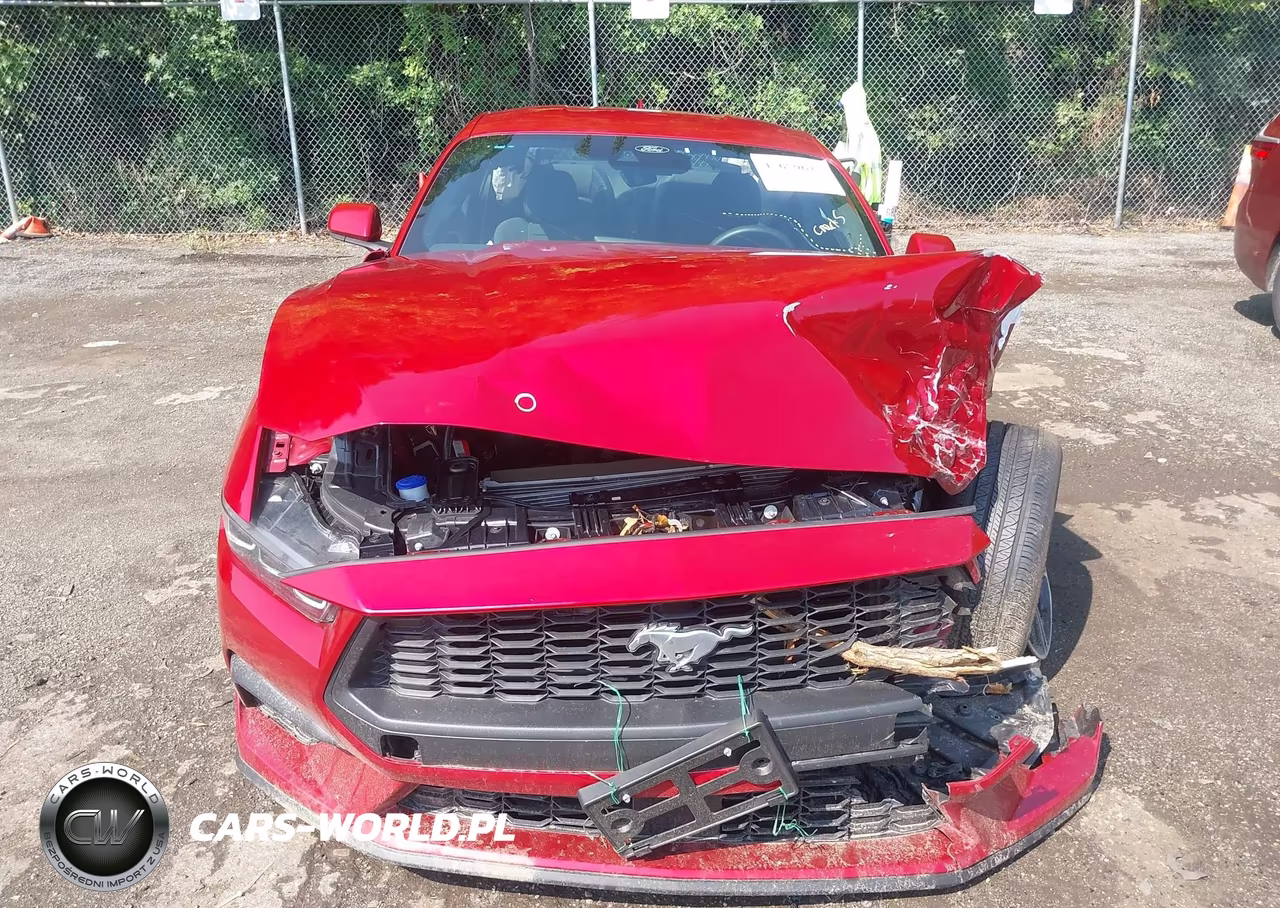 2024 Ford Mustang Ecoboost Fastback VIN:1FA6P8TH6R5141618 - 12