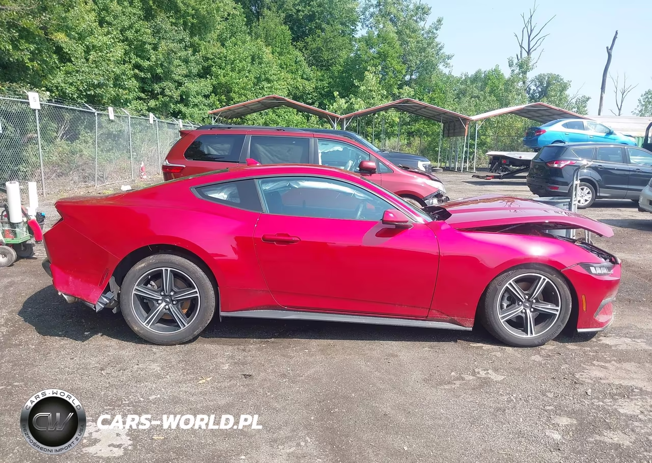 2024 Ford Mustang Ecoboost Fastback VIN:1FA6P8TH6R5141618 - 13