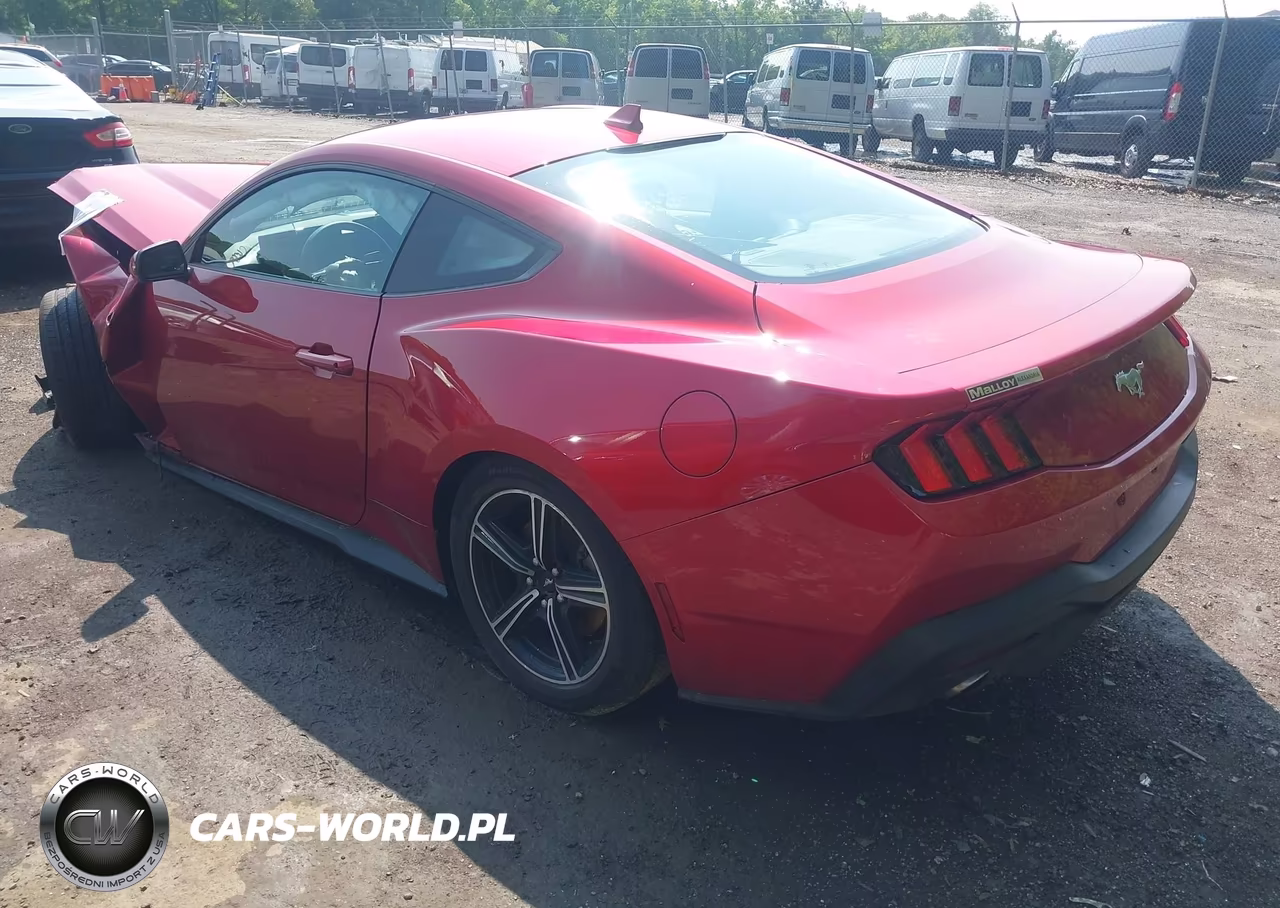 2024 Ford Mustang Ecoboost Fastback VIN:1FA6P8TH6R5141618 - 3