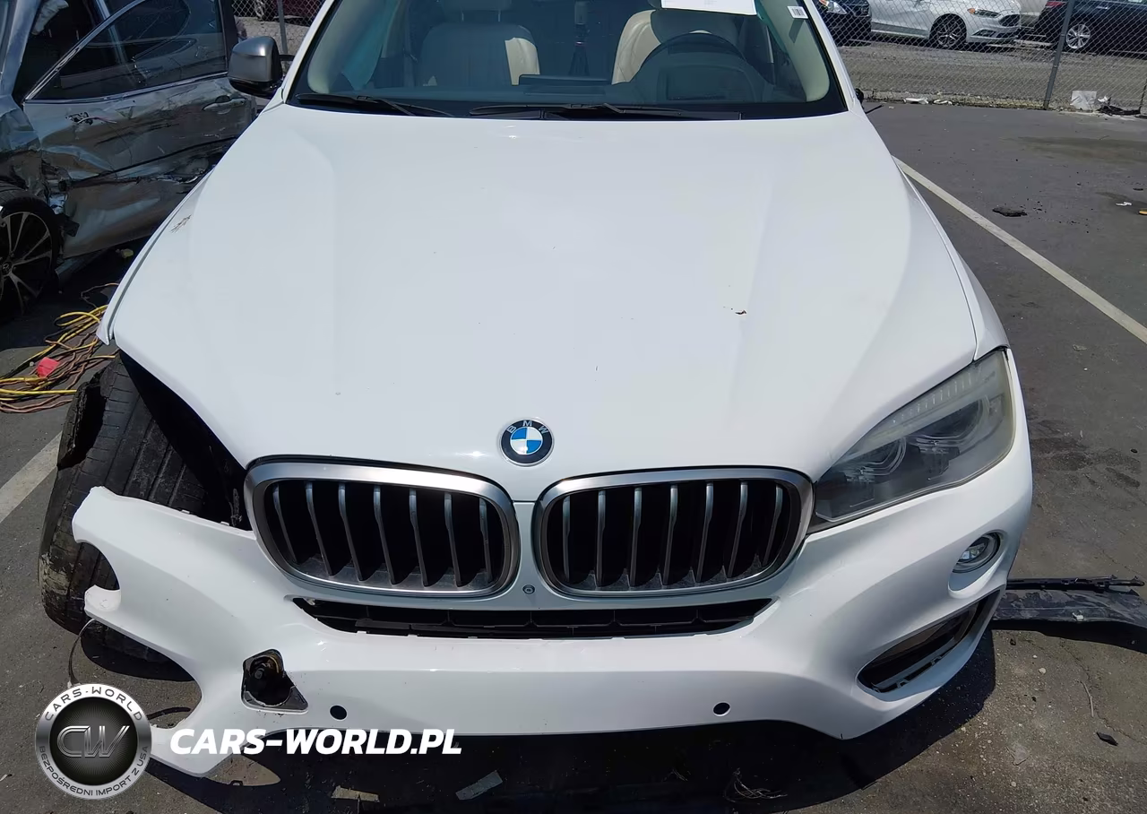 2016 BMW X6 Sdrive35I VIN:5UXKU0C5XG0F92393 - 12