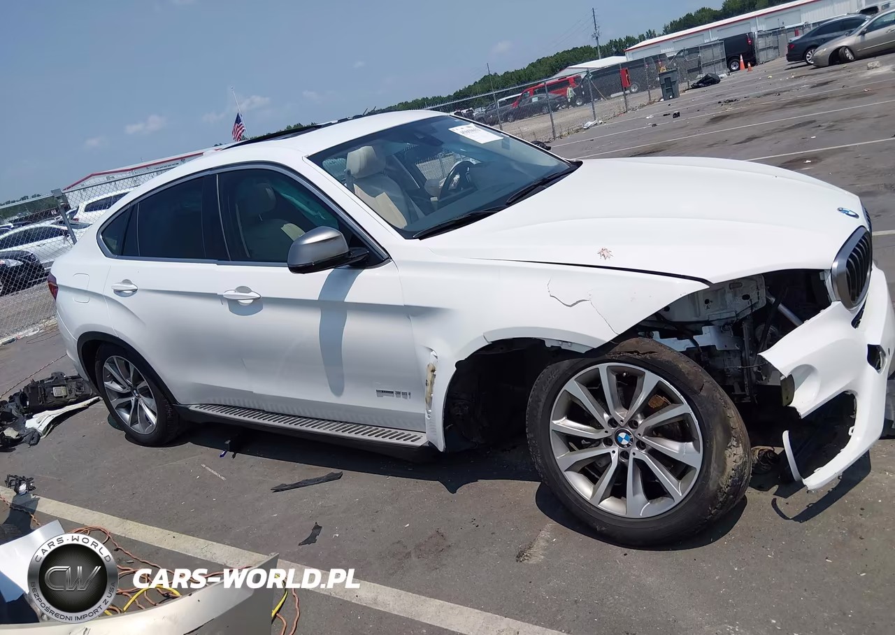 2016 BMW X6 Sdrive35I VIN:5UXKU0C5XG0F92393 - 13