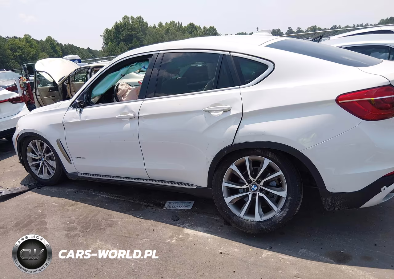 2016 BMW X6 Sdrive35I VIN:5UXKU0C5XG0F92393 - 14
