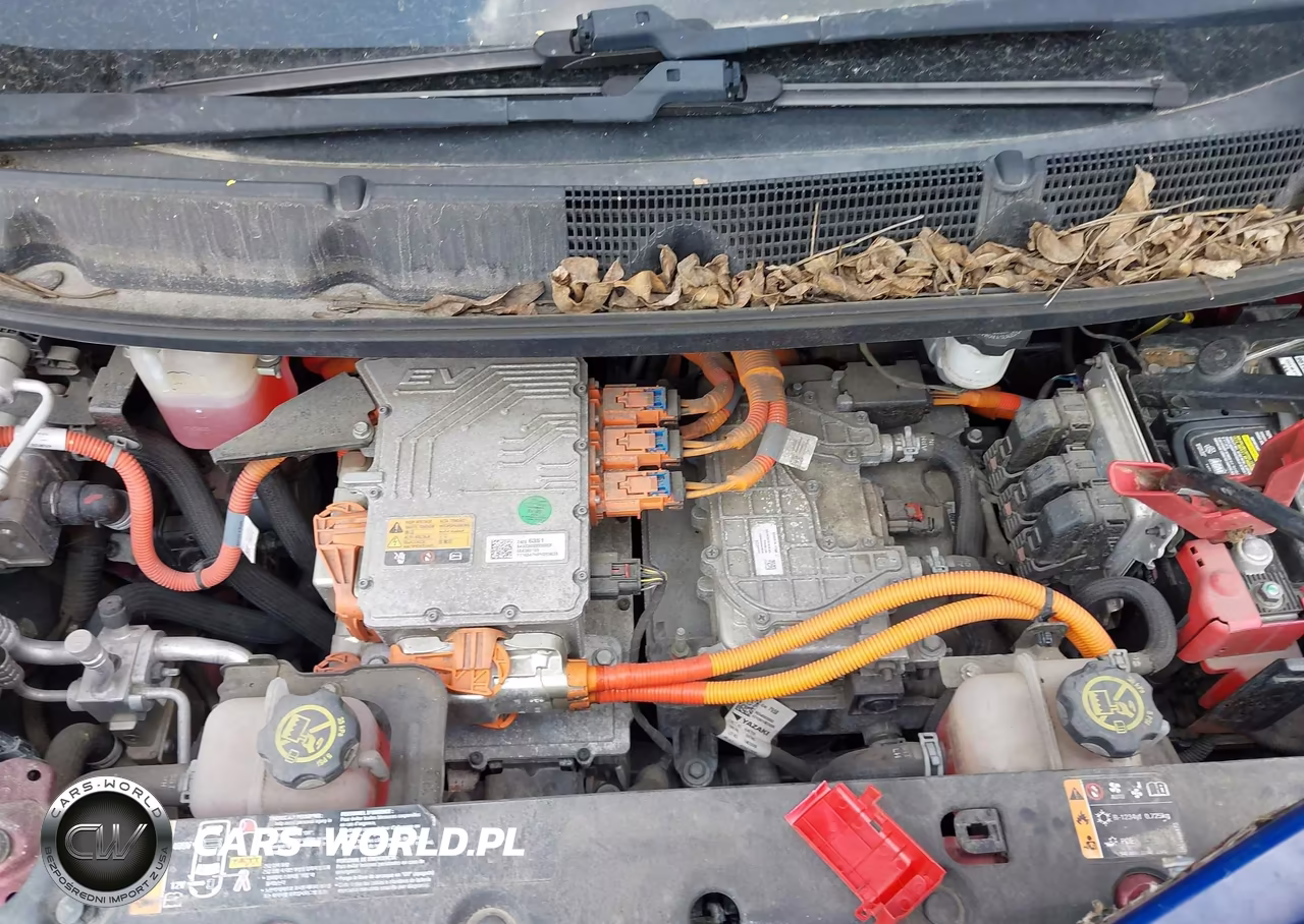 2017 Chevrolet Bolt Ev Lt VIN:1G1FW6S03H4149718 - 10