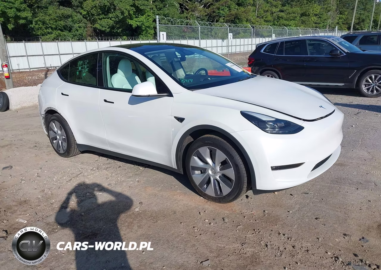 2023 Tesla Model Y Rwd