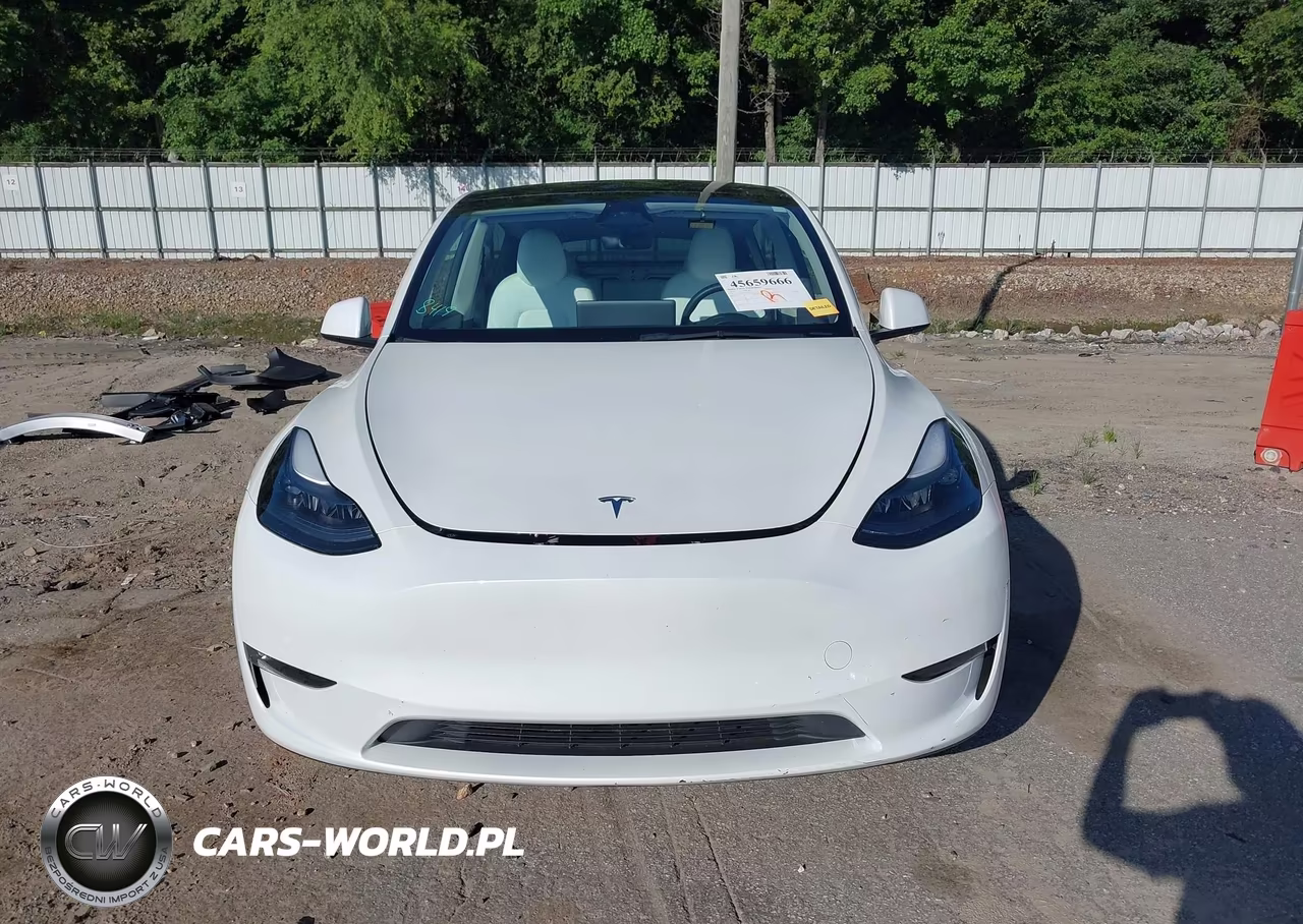2023 Tesla Model Y Rwd VIN:7SAYGDED7PF932311 - 13