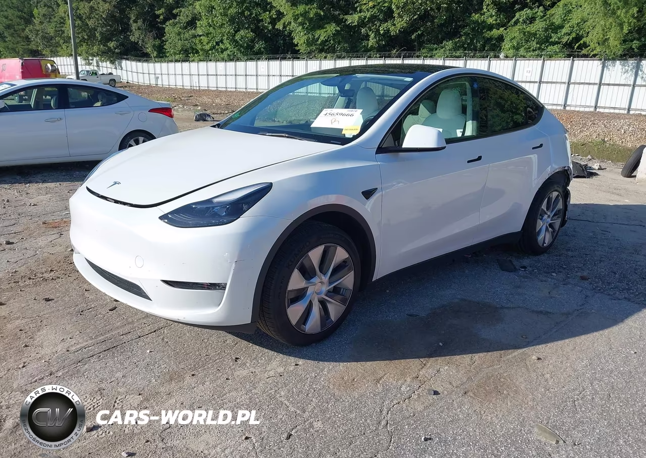 2023 Tesla Model Y Rwd VIN:7SAYGDED7PF932311 - 2