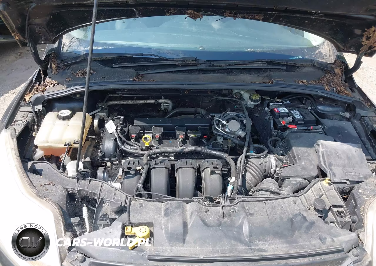 2014 Ford Focus Se VIN:1FADP3F21EL108212 - 10