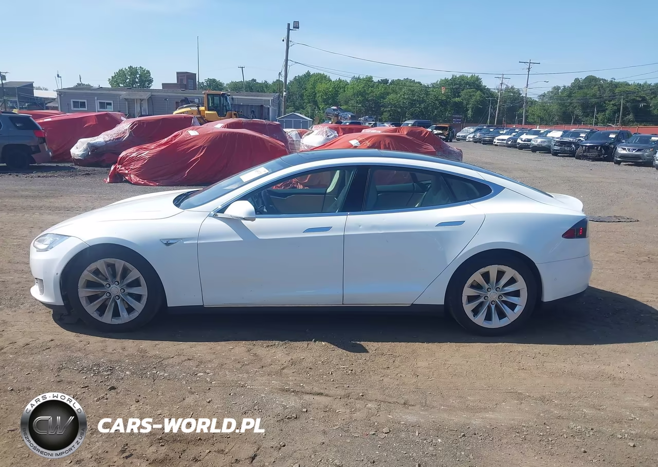 2016 Tesla Model S 60D-70D-75D-85D-90D VIN:5YJSA1E20GF129812 - 14