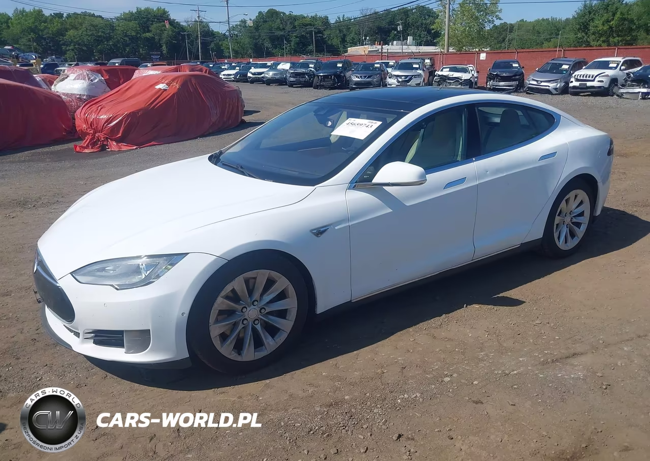 2016 Tesla Model S 60D-70D-75D-85D-90D VIN:5YJSA1E20GF129812 - 19