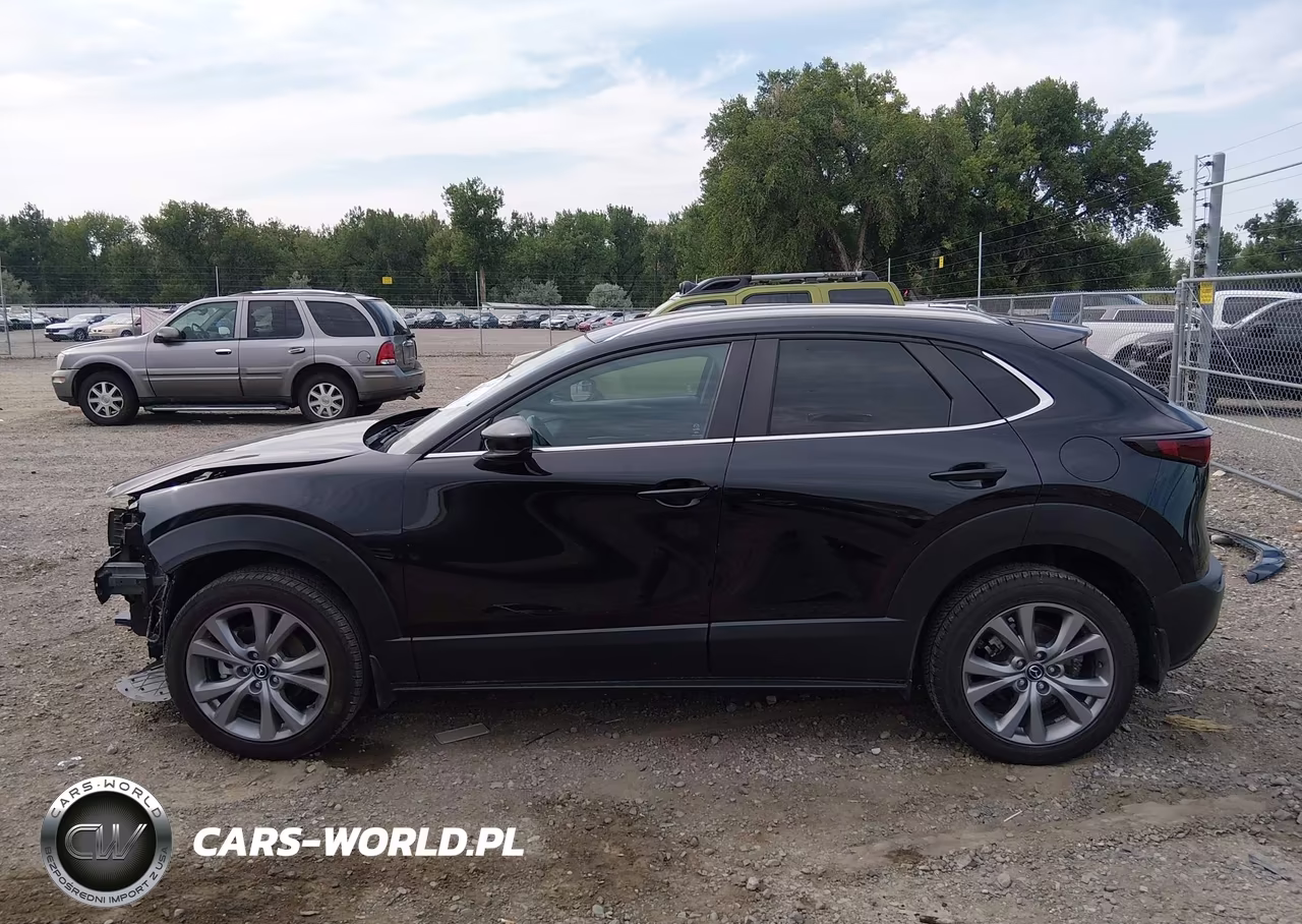 2023 Mazda Cx-30 2.5 S Select VIN:3MVDMBBM4PM554259 - 15