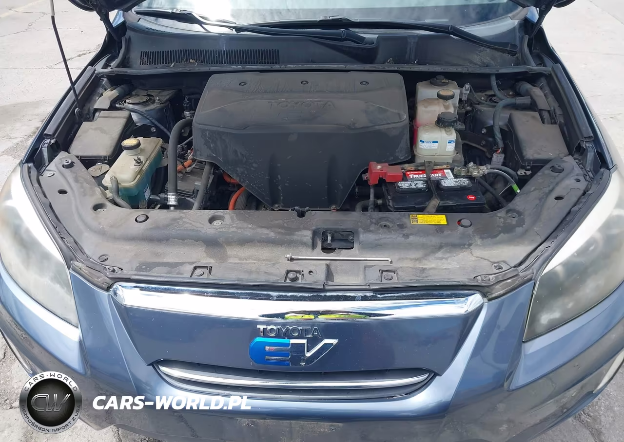 2014 Toyota Rav4 Ev VIN:2T3YL4DV1EW002818 - 10